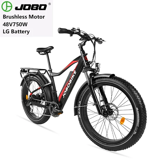 

eu warehouse e bicycle with 250W motor 48V 14AH battery electric bike mountain bicycle e, Customized