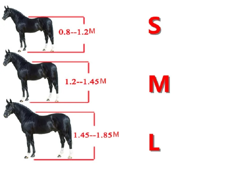 horse halter (11).jpg