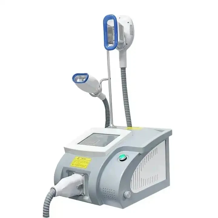 

Cryolipolysis Slimming Machine Mini Cryo Therapy Machine with 2 Handles Portable 360 Cryolipolysis Machine