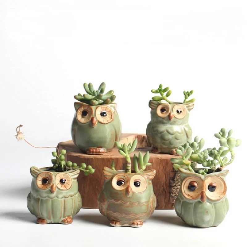 

5 Pcs/Set Creative Owl Shape Pots 2020 New Ceramic Desk Flower Cute Design Succulent Planter Pot