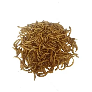 Image of high protein dried mealworms for animal food feed pet food