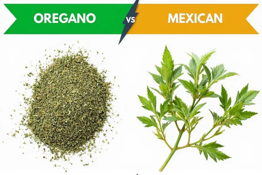 Oregano Jars on Shelf