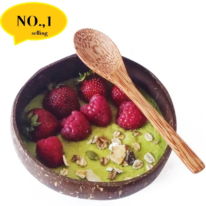 

Wholesale Natural Lacquered Handmade Craft Smoothie Bowls Spoon Set Logo Organic Coconut Shell Salad Bowl In Backpack