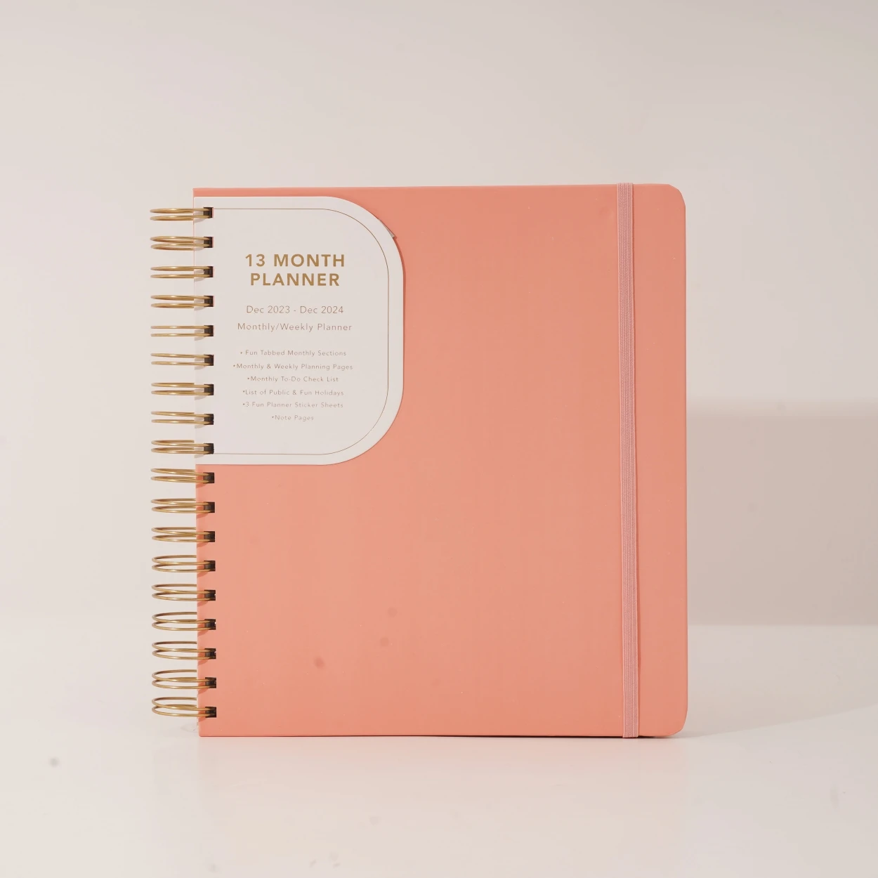 

CAGIE spiral notebook 2024 planner pink cover journal notebooks A5 agenda planner 2024 hardcover notebook gift set