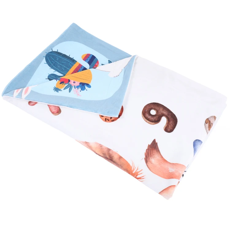 
2019 Amazon Hot Sale New Design Double Sided Different Pattern 2-Ply Babies Milestone Super Soft Fleece Baby Blanket 