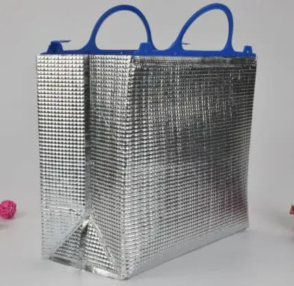 

Eco disposable insulated cooler food bag with plastic handle