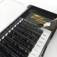 

Private Label Volume Mink/Silk Lashes Extensions Individual Eyelash Extension Lash Tray