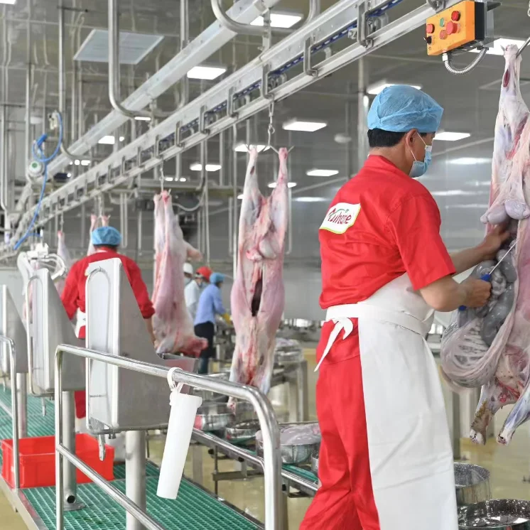 Automatic Halal Sheep Slaughtering Line Complete Goat Abattoir Machine Industrial Sheep Hair RemoveMachine for Meat Plant