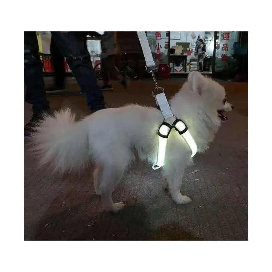 

Nylon Dog Pet Harness Cat Safety Led Flashing Light Vest Pet Dog Harness Cat Safety Led Flashing Light