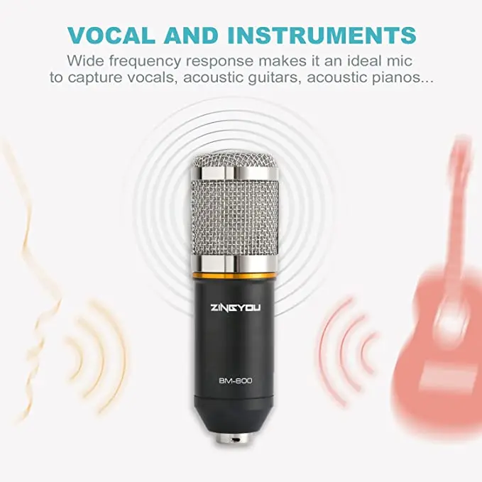 microphone (3)