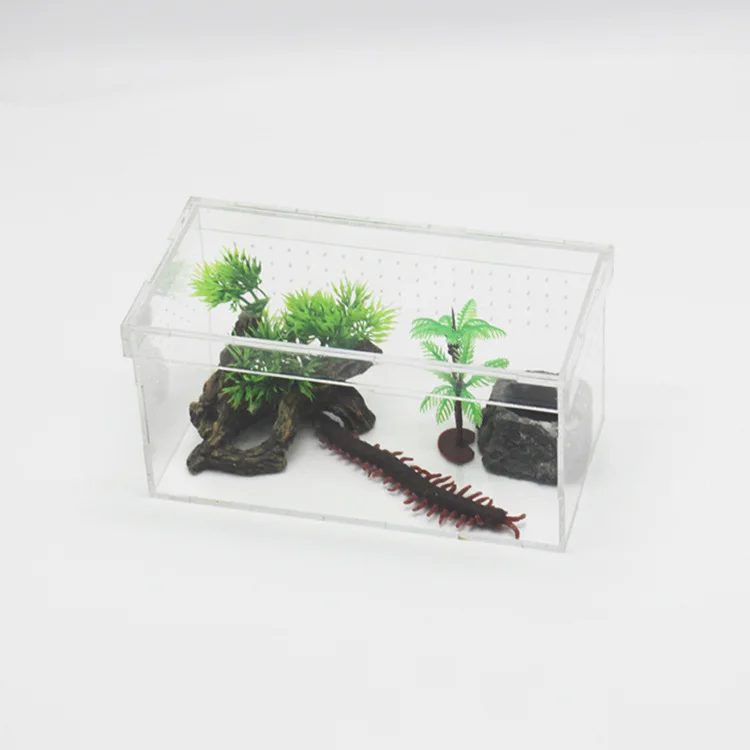 

Acrylic reptile box chameleon lizard centipede spider gecko transparent feeding box