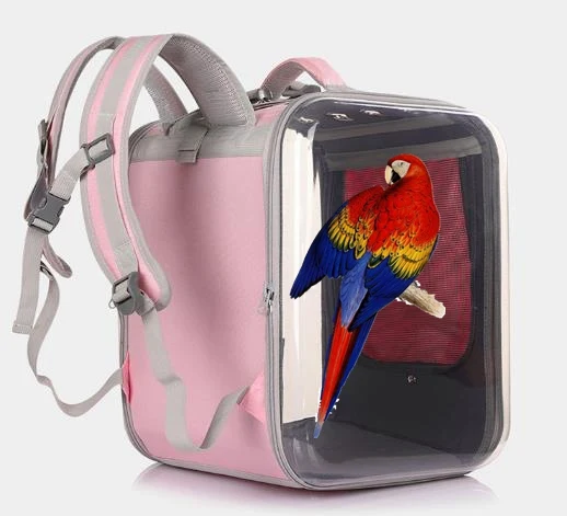 

Amazon Hotsale Big Bird Carrier Backpack Collapsible Parrot Carrier Transparent with Wood Height Cockatoo Travel Perch for 35cm, 4 colors