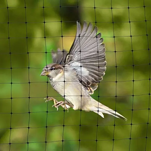 High Quality Pe Pp Plastic Bird Catching Net Bird Net Anti Bird Nets
