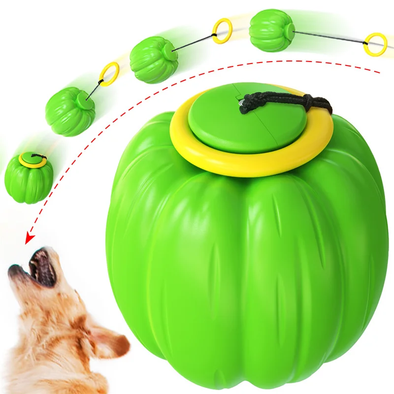 

Pet training outdoor suit dog toy throwing cue stick tossing tug of war rope ball, Picture showed