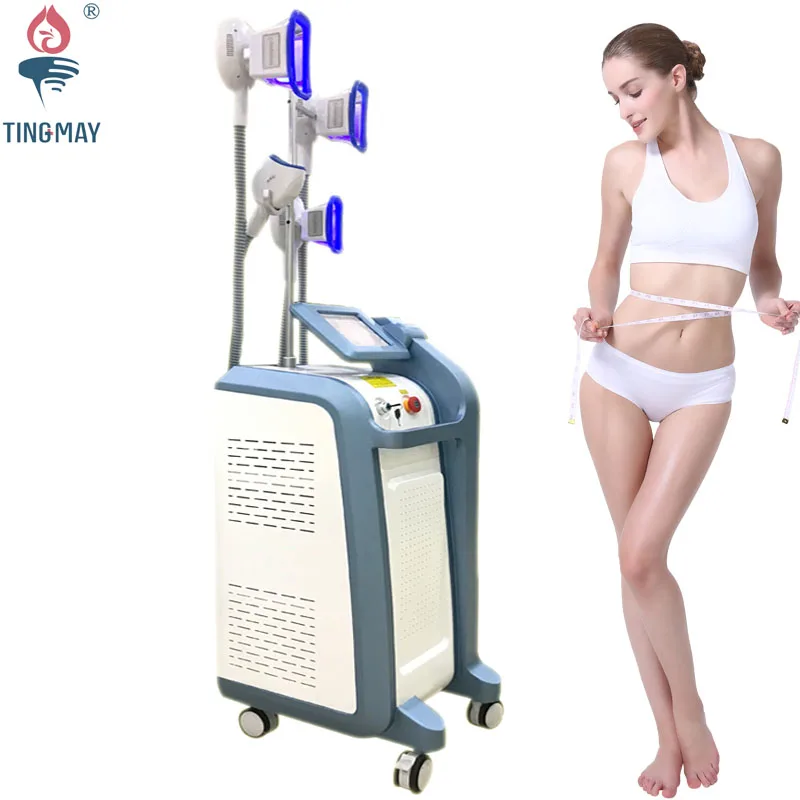 

Professional 4 Handles 360 Cryolipolysis Fat Freezing Beauty Slimming Salon Equipment