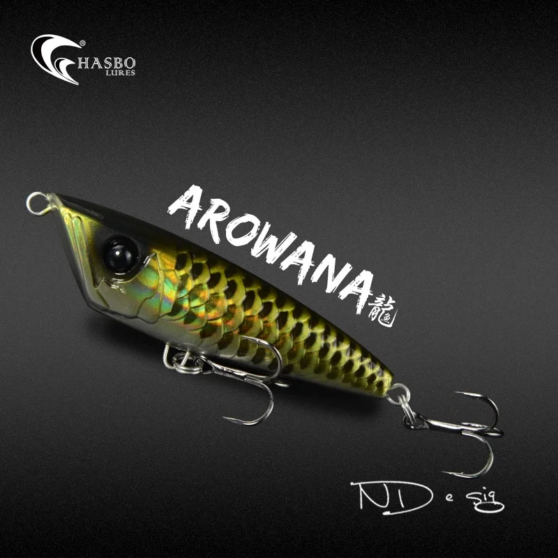

Peche Long distance floating bait Arowana 65mm 9g fishing lures popper peche leurre pesca