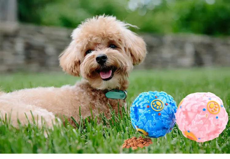 Interactive Cute Durable Rubber Pet Bite Cat Dog Chew Toy