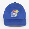 3D embroidered royal blue child dad baseball hats great quality only
