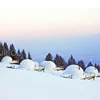 PVC Garden Igloo Geodesic Dome Tents House For outdoor event camping