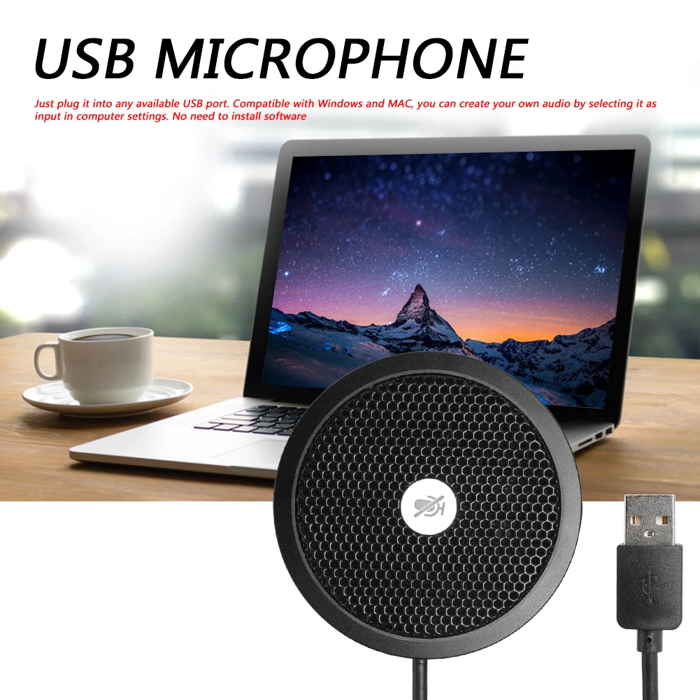 USB Mic (3).jpg