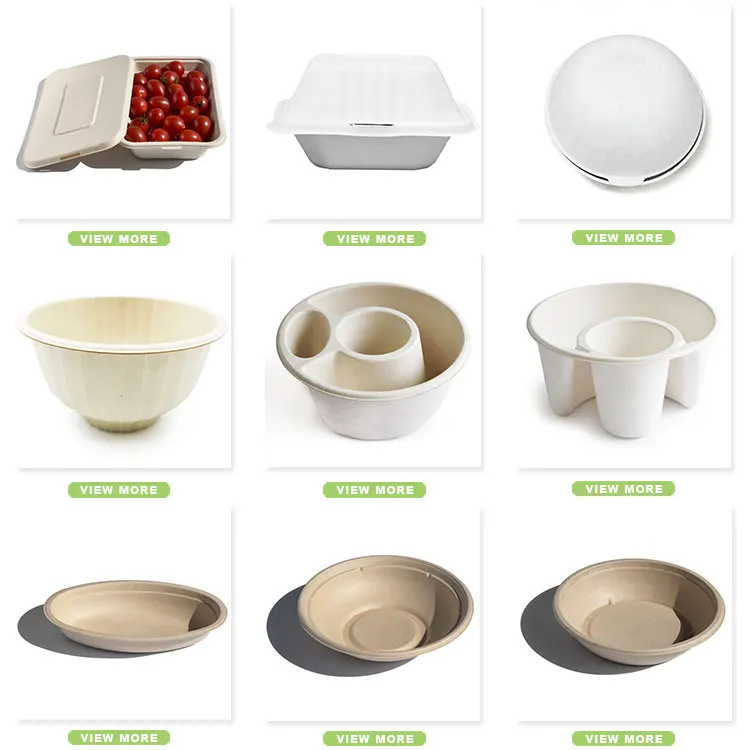 Hot selling no leaking bagasse disposable biodegradable food container