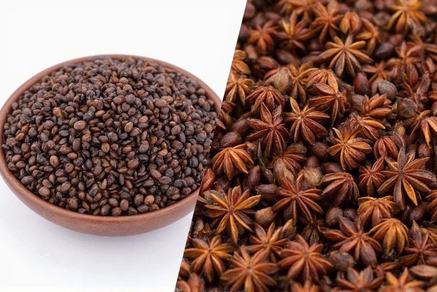 Anise Seed vs Star Anise: Key Differences Explained