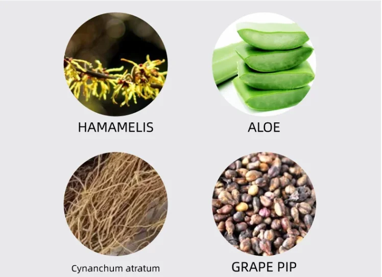 5.PNG