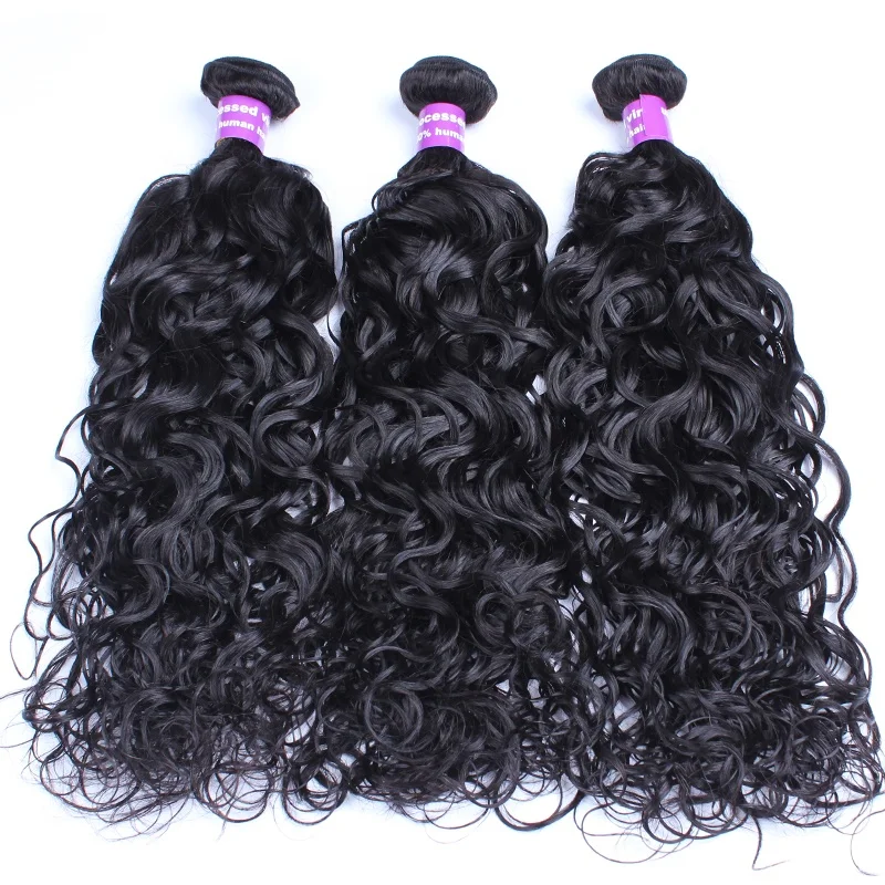 

2023 Hot 100% Human Hair Weave Bundles With Closure Indian Hair Bundles From India Vendor Water Wave Hair Bundles