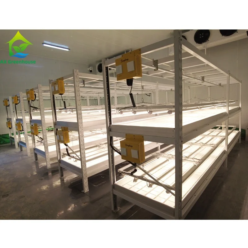 

Seeds growing bed double layers rack/shelf for clone agriculture greenhouse clone room used