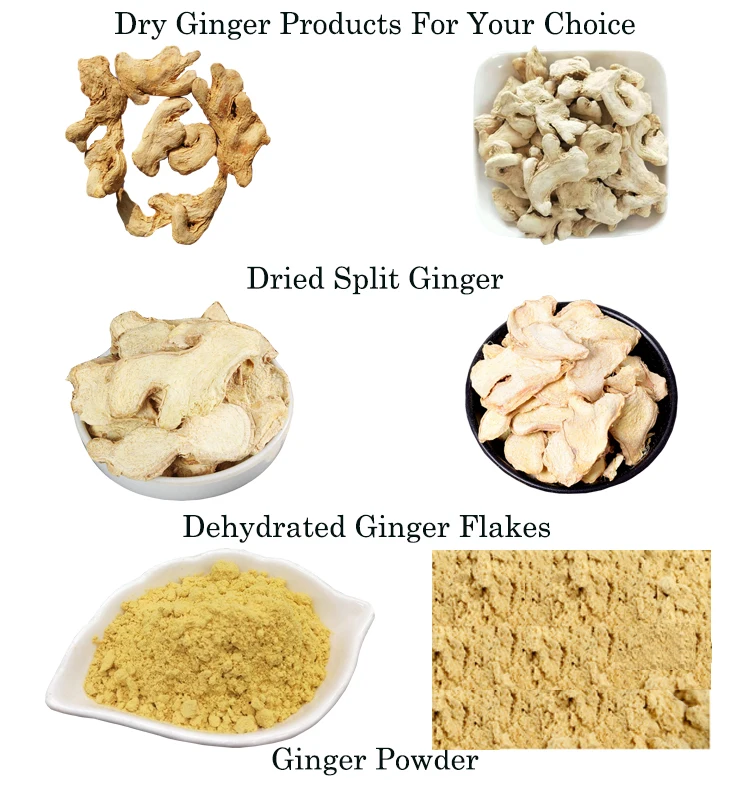 Dehydrated Ginger Series