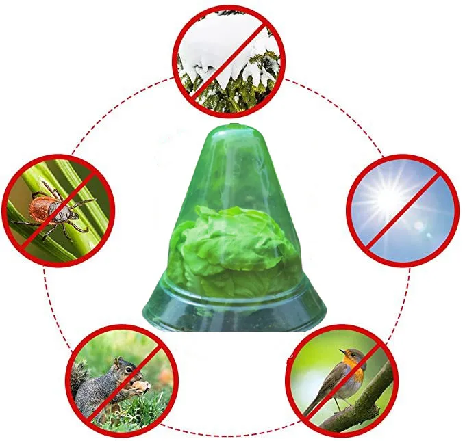 

Cloche Agricultural Cloche Garden snail trap garden tools indoor plant dome bells plants cloches plastic garden shed