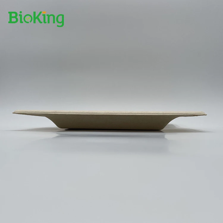 

Factory wholesale High Quality Cheap Sugarcane 100% Biodegradable Plate Types Dinner Plate, Bleached;natural