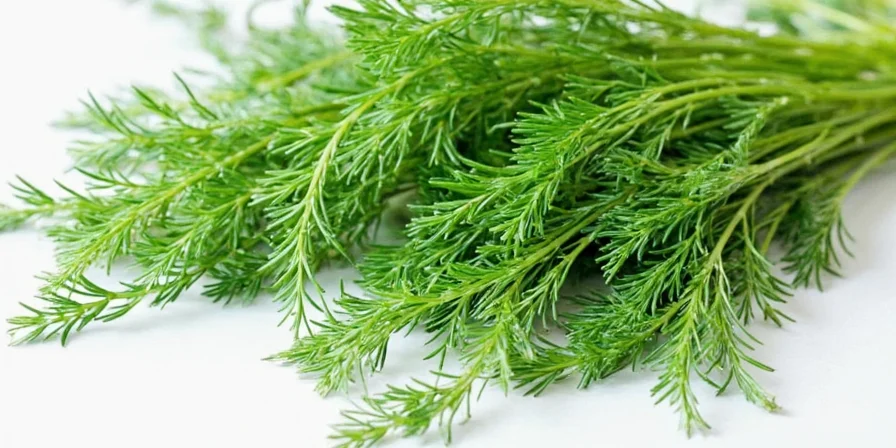 Person selecting fresh dill from a farmer