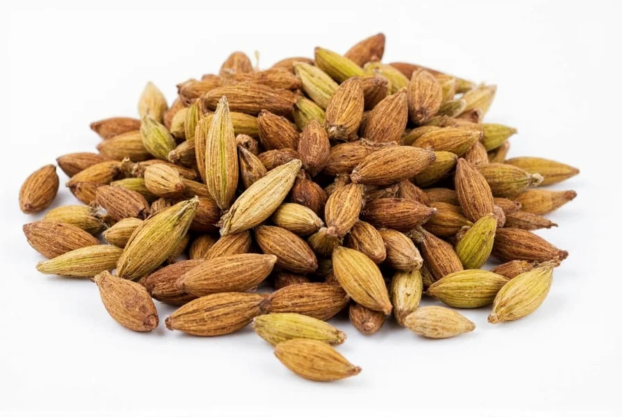 Cardamom Spice Taste: Citrusy, Floral & Warm Flavor Profile