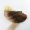 Neitsi 100g Hair Wefts Curly Double Drawn Machine Making Remy Human Weaves Extensions Remy Hair