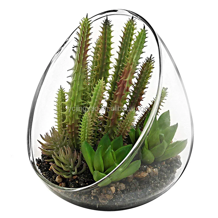

Small Artificial Cactus Plants with Slanted Clear Glass Terrarium Vase