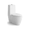 High quality chinese toilet tool CE washdown one-piece toilets wc KD-T058P