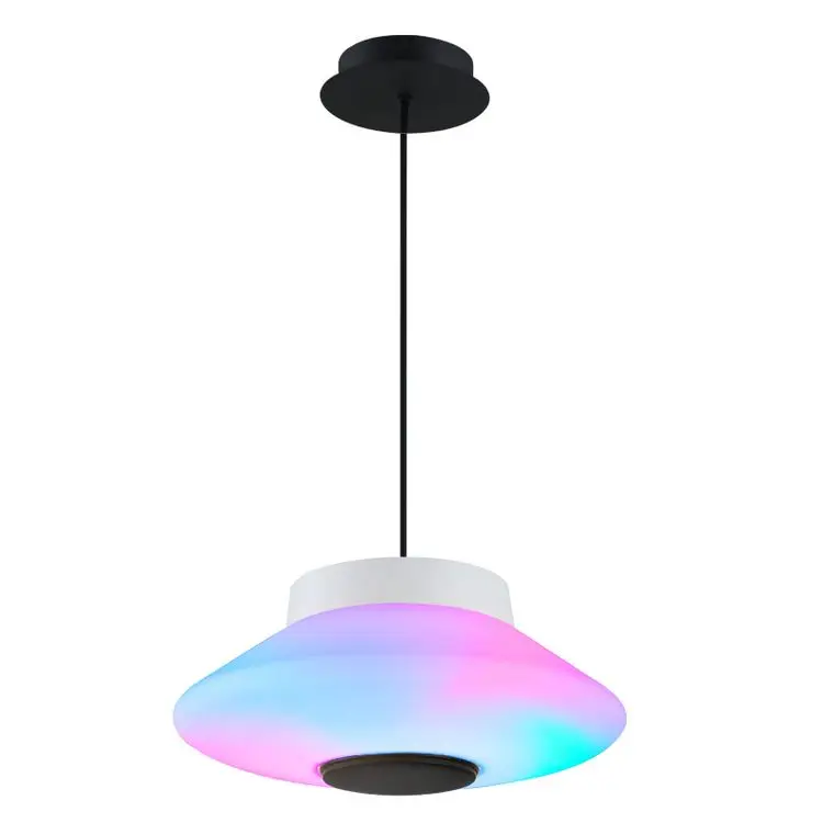 High quality lamp modern ABS Led pendant light for Living room