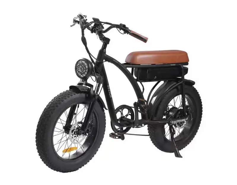 

EU warehouse free shipping Bezior XF001 20 inch electric mountain bike 1000w motor 48V 12.5Ah battery fat tire electric bicycle