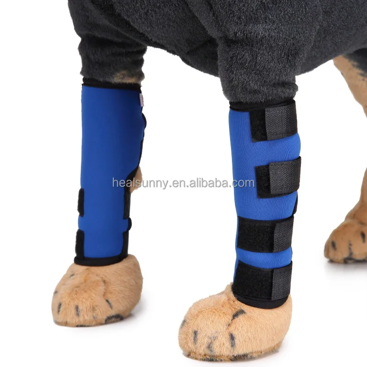 

Breathable Dog Knee Support Brace Hock Joint Wrap Injury Recover Legs Dog Knee Pads, Black red blue