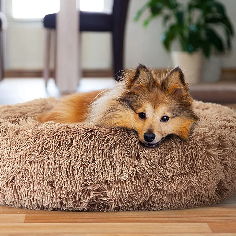 

Hello selected dropshipping dog bed pet dropshipping for dog