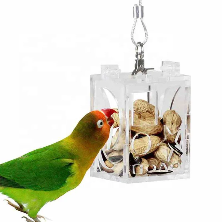 

Bird Forager Parrot Acrylic Training Free Installation Bird Supplies Parrot Toy