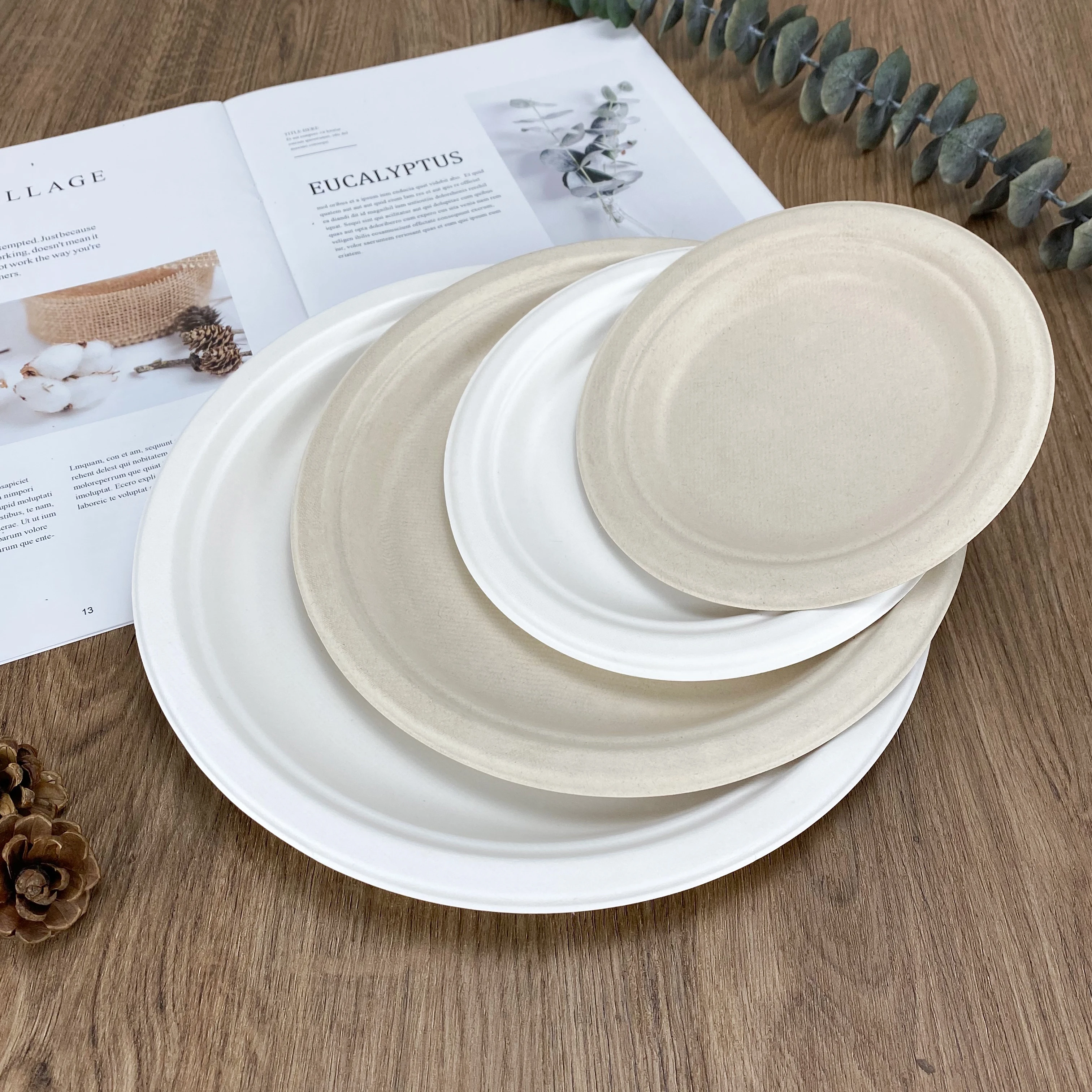 

Compostable Disposable Plates dish Biodegradable 6" 7" 9" 10" inch Round Plate Bagasse Sugarcane Paper Plate
