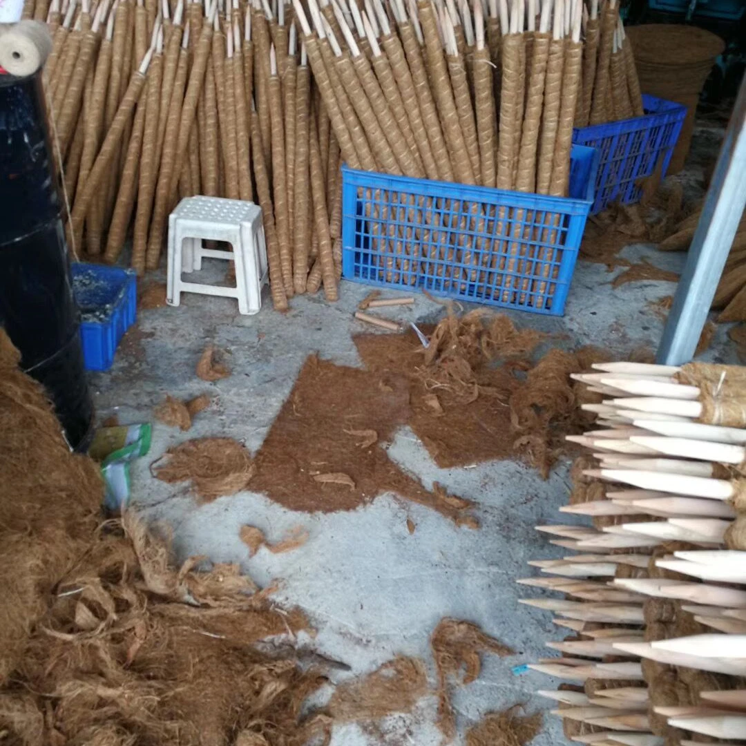 

Anti Rot 40cm Length Natural Coir moss sphagnum moss pole for plant support, Natural brown