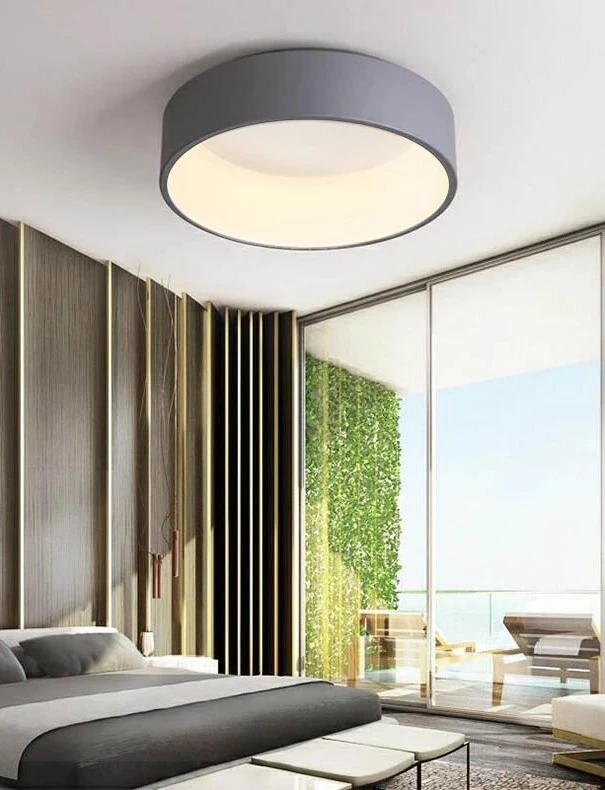 Remote Control Dimming Led Ceiling Lamp Inside Luminous Bedroom