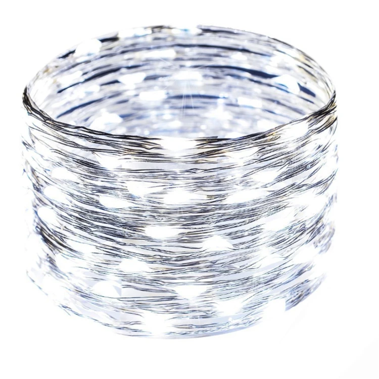 Cool white fairy lights01.jpg