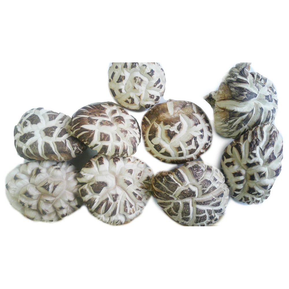 
Wholesale white flower shiitake mushroom dried Japanese for cooking 