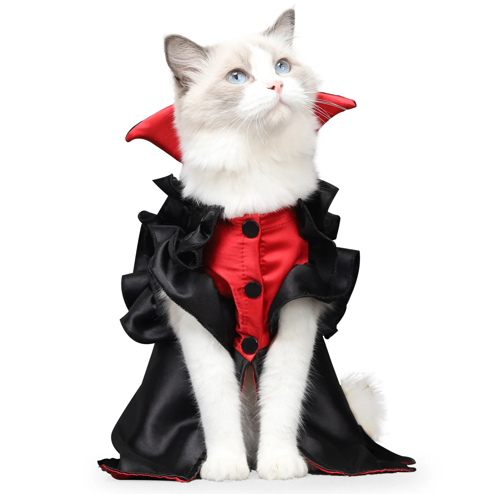 

Cat Vampire Halloween Costume Holiday Dressing Up Cloak for Kitten Small Medium Outfit Cosplay Decoration Party Suit, Picture