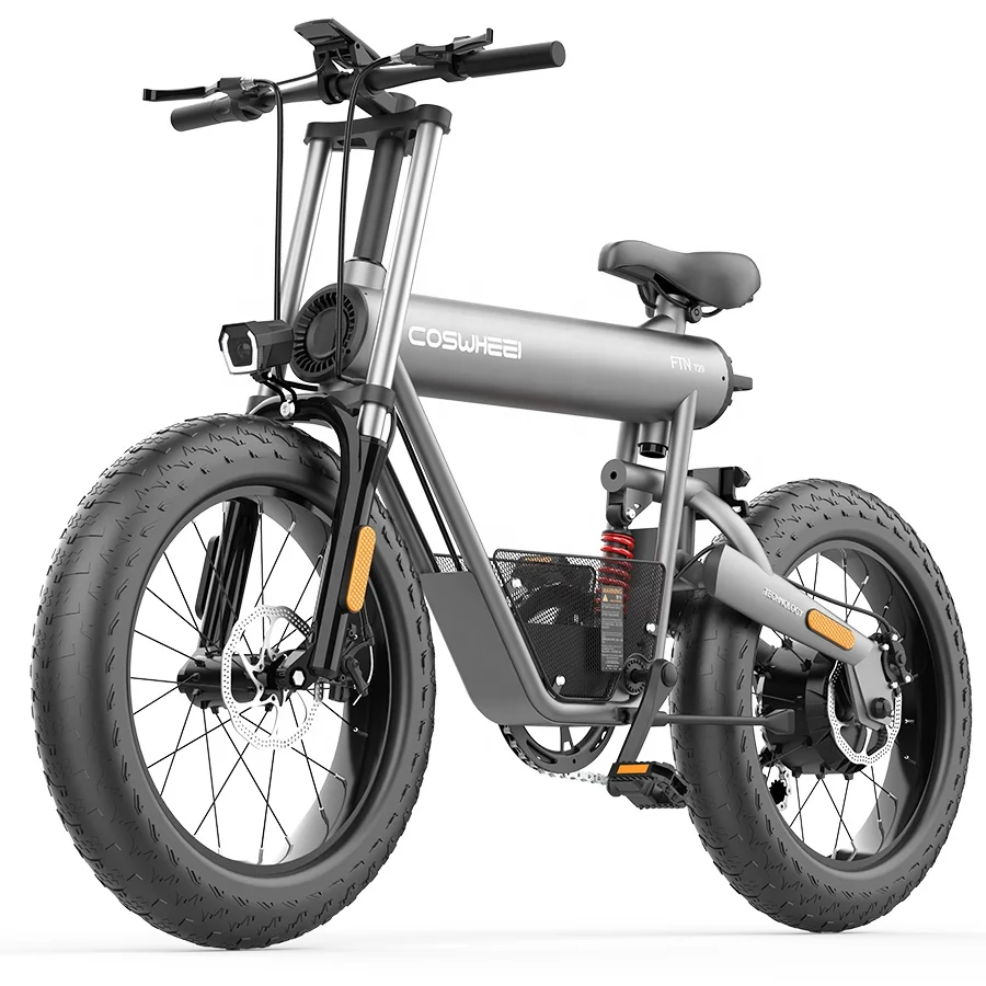 

Full Suspension 48v 1000w Adult Two Wheels Bicicleta Electrica Electric Dirt Bike Moped Bicycle Fat Tire E Bike Ebike, Silver grey