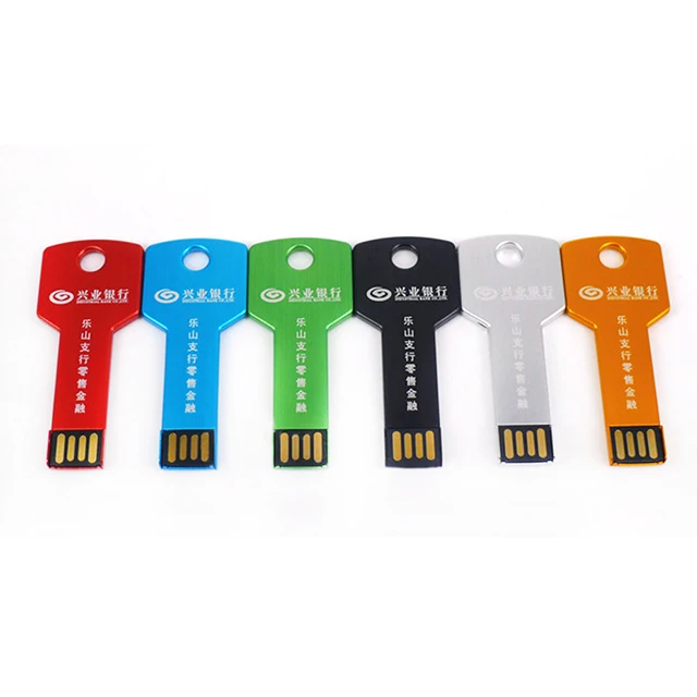 
Promotional Potable Metal Key USB Flash Drive Housing Pendrive Casing USB 2.0 3.0 Custom 